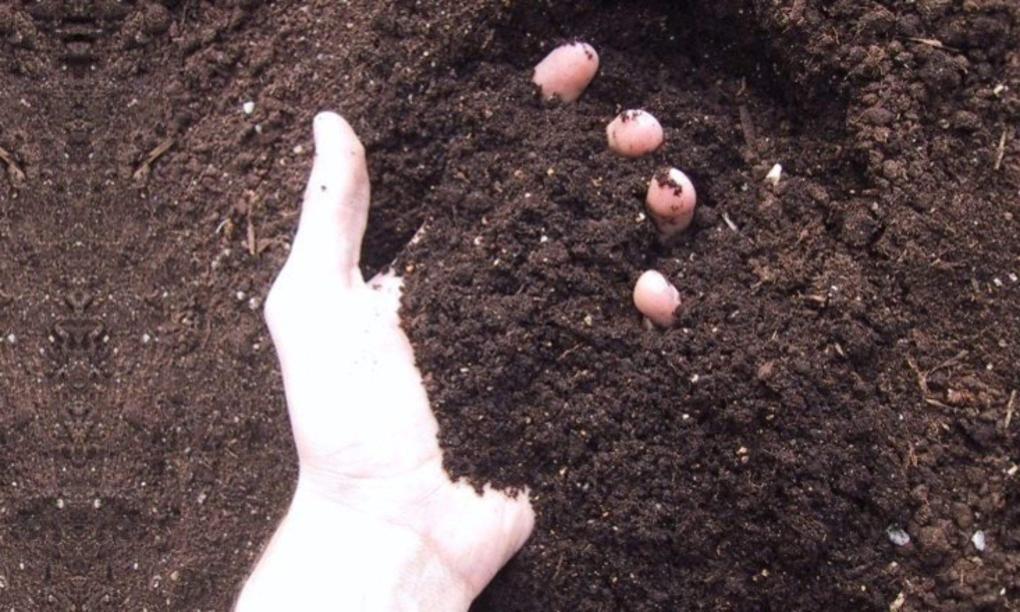 Actium Batch Compost Drum Actium Composting Equipment